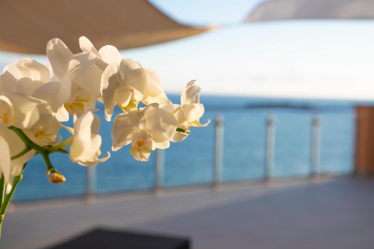 Bed and Breakfast La Dimora sul Mare Marina di Camerota Esterno foto